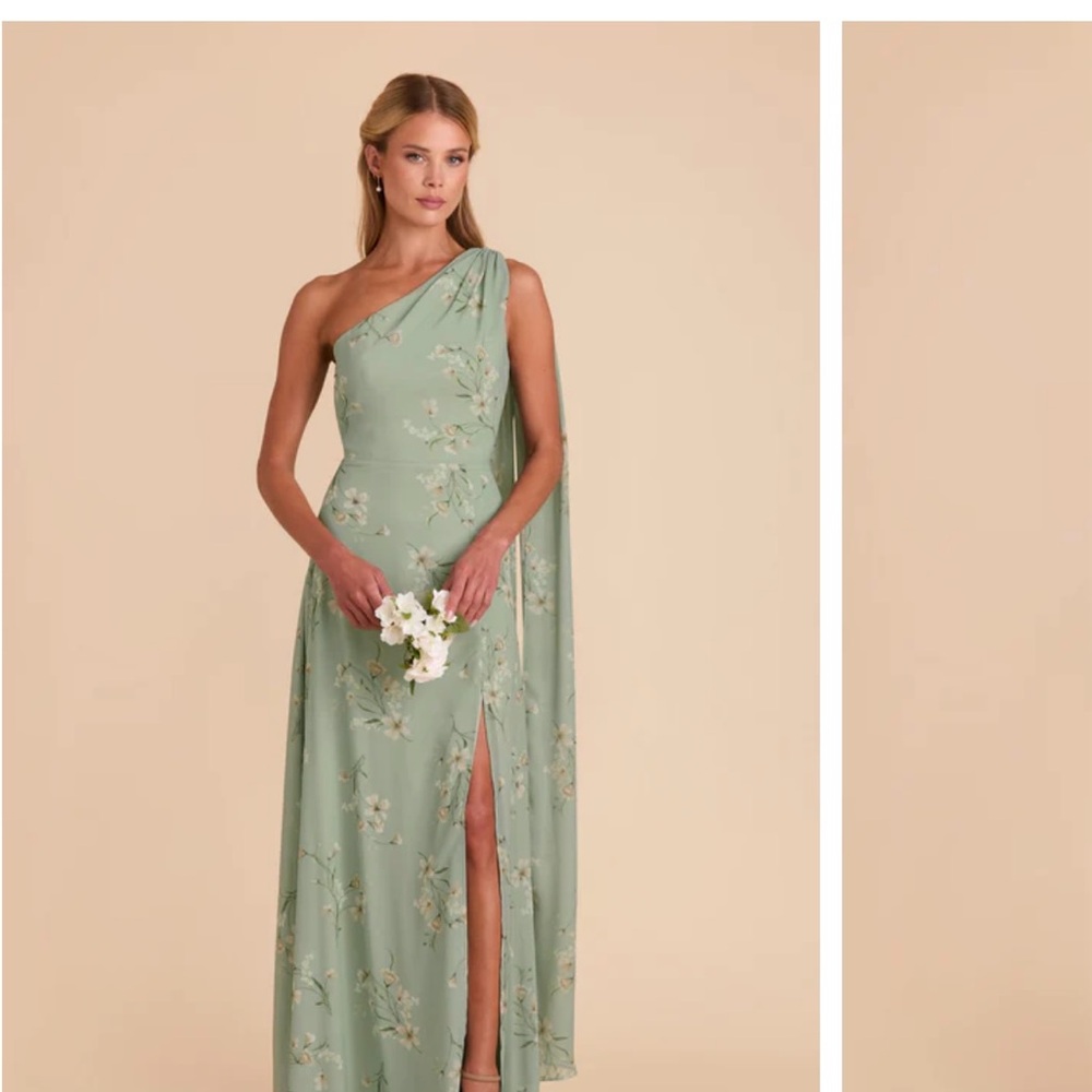 Birdy Grey Asymmetrical Green Gown with Slit